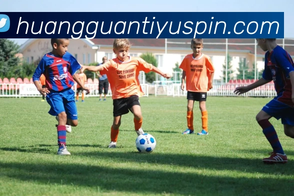 多媒体互动体验